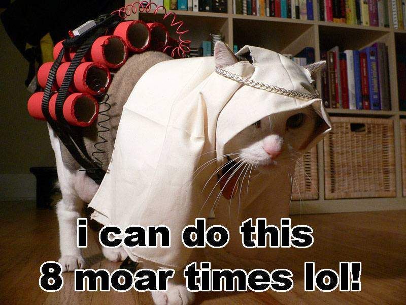 cat 9 lives funny image