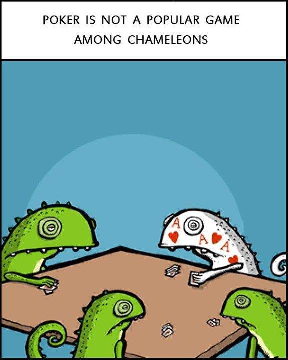 Poker Chameleons funny image